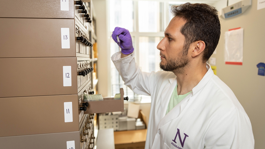 Mesulam Center researchers review study brain slides.